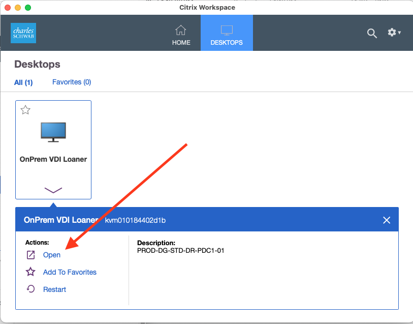 Citrix Workspace app launch instance